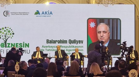 Azərbaycan məhsulları Avropa bazarlarına çıxacaq - AQTA rəsmisi