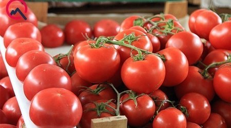 Türkmənistandan idxal edilən pomidora qadağa qoyulub