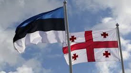 Estoniya Gürcüstan üçün vizasız rejimi ləğv edib