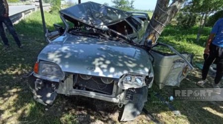 Şabranda avtomobil ağaca çırpılıb, iki qardaş ölüb