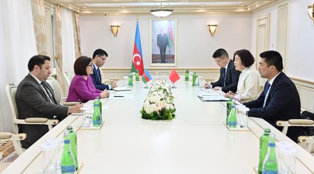 Sahibə Qafarova Çin səfiri ilə görüşüb
