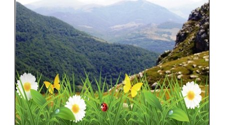 Прогноз погоды на 18 мая: дожди, грозы и умеренный ветер