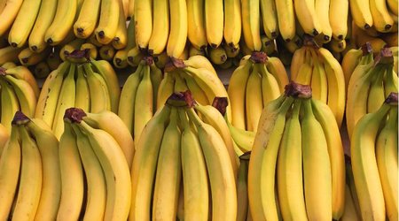 Azərbaycanda banan bahalaşa bilər