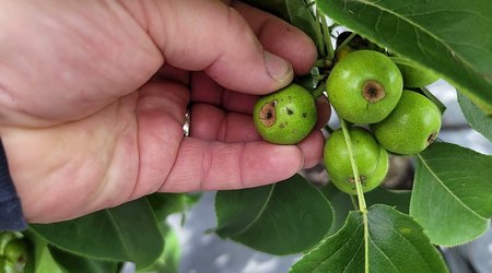 Azerbaijan expands agricultural insurance amid rising climate risks