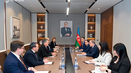 Глава МИД Азербайджана встретился с сенатором США Стивом Дейнсом