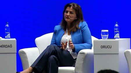 WB recommends Azerbaijan to start carbon pricing with carbon tax