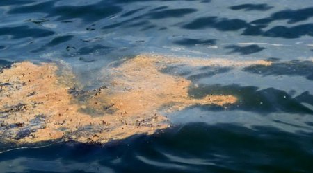 В порту Санкт-Петербурга произошел разлив нефтепродуктов