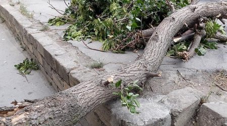 Bakıda külək ağacı qadının üzərinə aşırıb