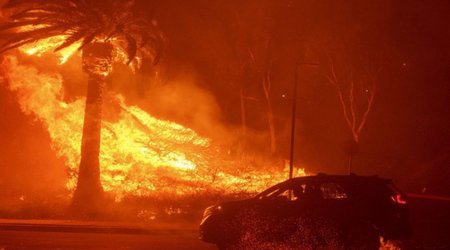 Площадь лесного пожара в Калифорнии превысила 28 тыс. га
