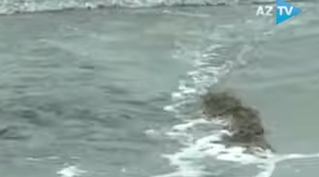 В Баку сточные воды сливаются прямо в Каспийское море
