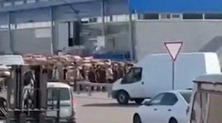 Rusiyada OMON-çuların yüzlərlə azərbaycanlını saxladığı iddia olunur