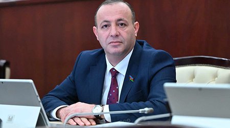 Lerik və Astarada sahibkarlar torpaq təyinatı ilə bağlı problemlərlə qarşılaşır - Deputat