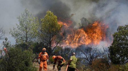 На юге Франции бушует лесной пожар
