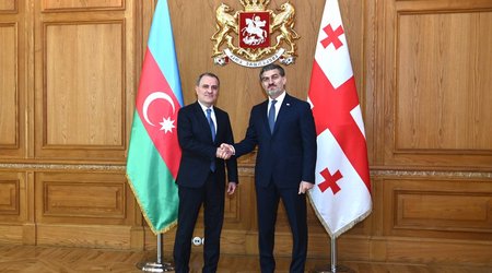Ceyhun Bayramov Gürcüstan Prezidenti ilə görüşüb