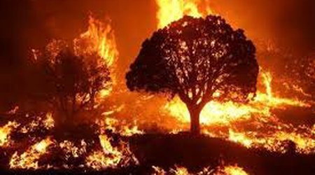 Aghdam fire spreads to the Khojavend district