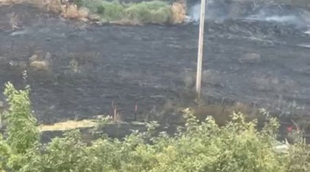 Sabirabadda kanalda boğulan gəncin meyiti 16 km məsafədə tapılıb