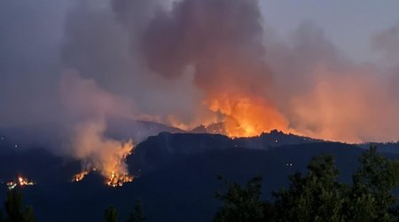 В Агдаме и Физули ликвидированы лесные пожары, борьба с огнем в других районах Карабаха продолжается
