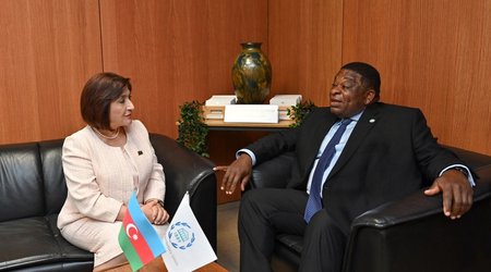 Sahibə Qafarova Parlamentlərarası İttifaqın Baş katibi ilə görüşüb
