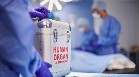 Azərbaycanda 910 nəfər orqan transplantasiyası üçün növbədədir