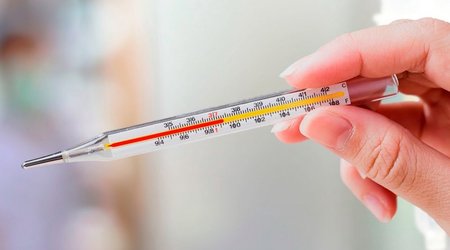 İtaliyada Qərbi Nil qızdırması diaqnozu qoyulmuş səkkizinci xəstə ölüb