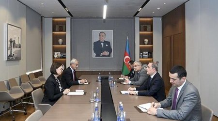 XİN rəhbəri Beynəlxalq Qızıl Xaç Komitəsinin nümayəndə heyətini qəbul edib