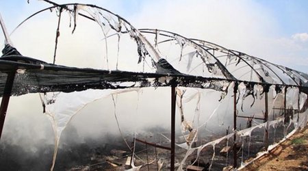 В Шамкире загорелась теплица