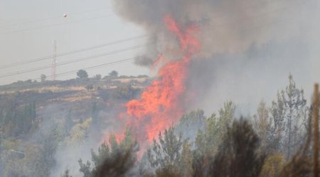 Qubada dağlıq ərazidə yanğın başlayıb
