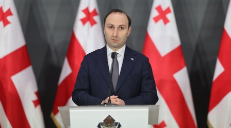 Gürcüstan DTX-nin rəisi istefa verib