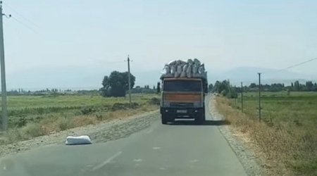 Tərtərdə yola günəbaxan tumları səpən şəxs məsuliyyətə cəlb edilib