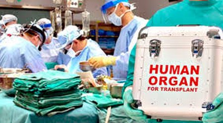Azərbaycanda orqan transplantasiyası sahəsində infrastruktur genişlənir