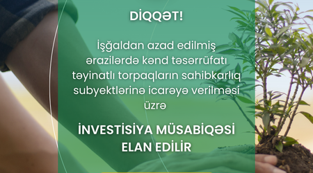 Azad edilmiş ərazilərdə torpaq icarəsi üçün investisiya müsabiqəsinə start verilib