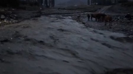 Qubada sel körpünü aparıb - Video