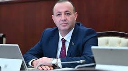 Deputat müəssisələrə şəhid adlarının verilməsi ilə bağlı normaların dəqiqləşdirilməsini təklif edir