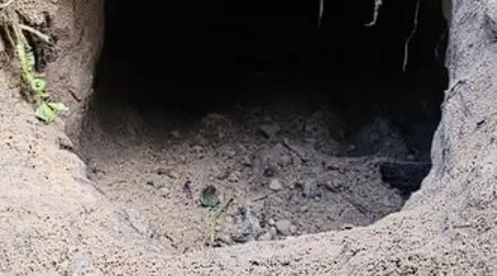 Мигранты вырыли туннель из Беларуси в Польшу