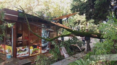 İsmayıllıda külək ağacı kafenin üzərinə aşırıb