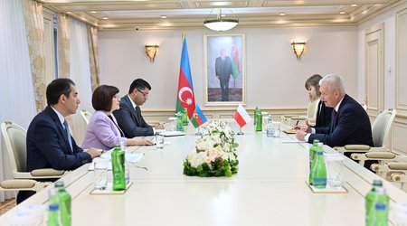 Sahibə Qafarova Polşanın Azərbaycandakı səfiri ilə görüşüb