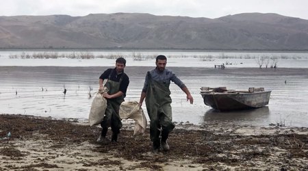 Qanunsuz balıq ovu ilə bağlı iki fakt üzrə 9,198 manatlıq ekoloji zərər qeydə alınıb