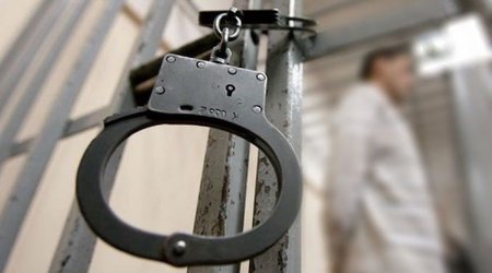 Oğuzda fıstıq ağaclarının qanunsuz kəsilməsi ilə bağlı cinayət işi başlanıb