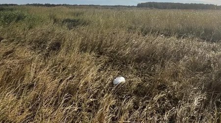 На западе Эстонии обнаружили обломок дрона