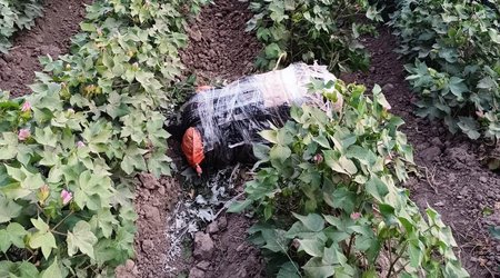 İrandan Azərbaycana 22 kq-dan çox narkotik gətirilməsinin qarşısı alınıb