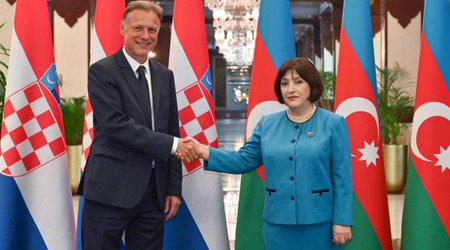 Гафарова встретилась с Яндроковичем