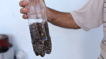 AQTA qəhvəyi mərmər bağacığı ilə mübarizə çərçivəsində əhaliyə müraciət edib
