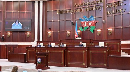 Peşə əmək qabiliyyətinin itirilməsi dərəcəsini müəyyənləşdirmək üçün yeni qaydalar hazırlanacaq
