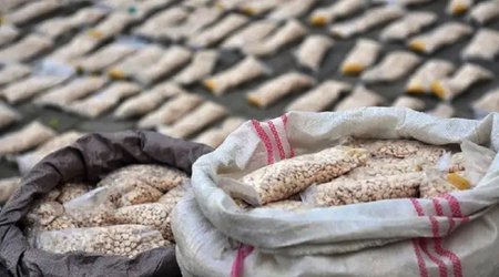 Doqquz ayda narkotiklə bağlı 6516 cinayət faktı aşkarlanıb