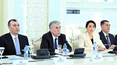 Ombudsman dövlət büdcəsindən əlavə vəsait istəyir