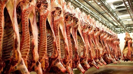 Azərbaycanda ət istehsalı 20% azalıb