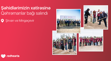 “Qəhrəmanlar bağı” layihəsi: Şəhidlərin xatirəsinə 543 ağac əkildi