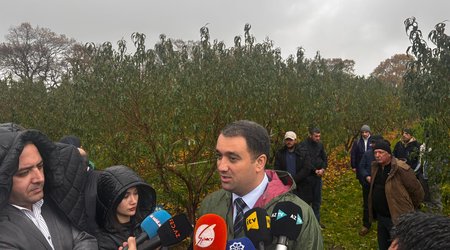 Aqrar Sığorta Fondu 20 milyon manata yaxın zərərin ödənilməsini təmin edib