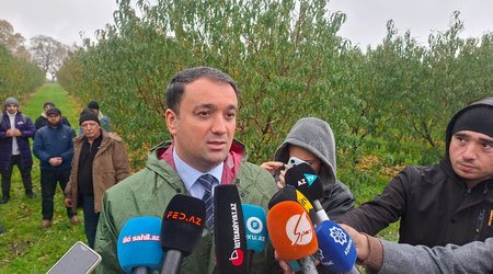 Azərbaycanda quraqlıq sığortası hazırlanır