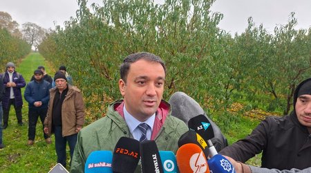 Aqrar Sığorta Fondu: Son iki ilin ən böyük sığorta ödənişi 1,1 milyon manat olub